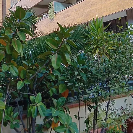 Your Comfortable Luxury In Florença
